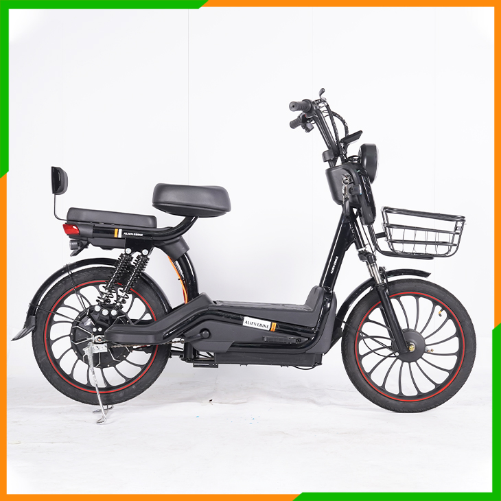 Electric Bike&Scooter-Freewind