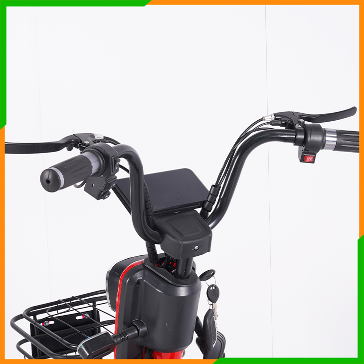 Electric Bike&Scooter-Koochie