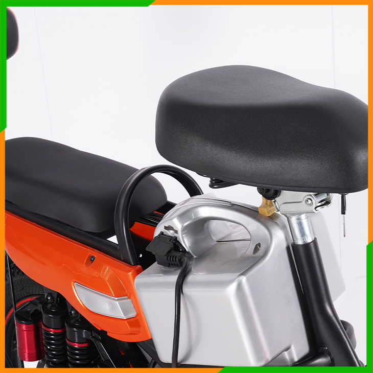 Electric Bike&Scooter-Pilot