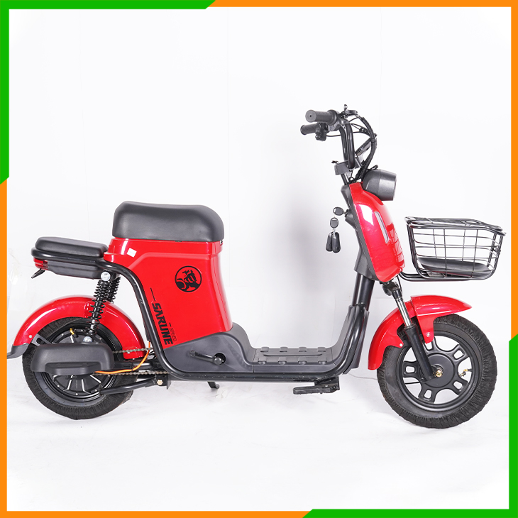 Electric Bike&Scooter-Q2