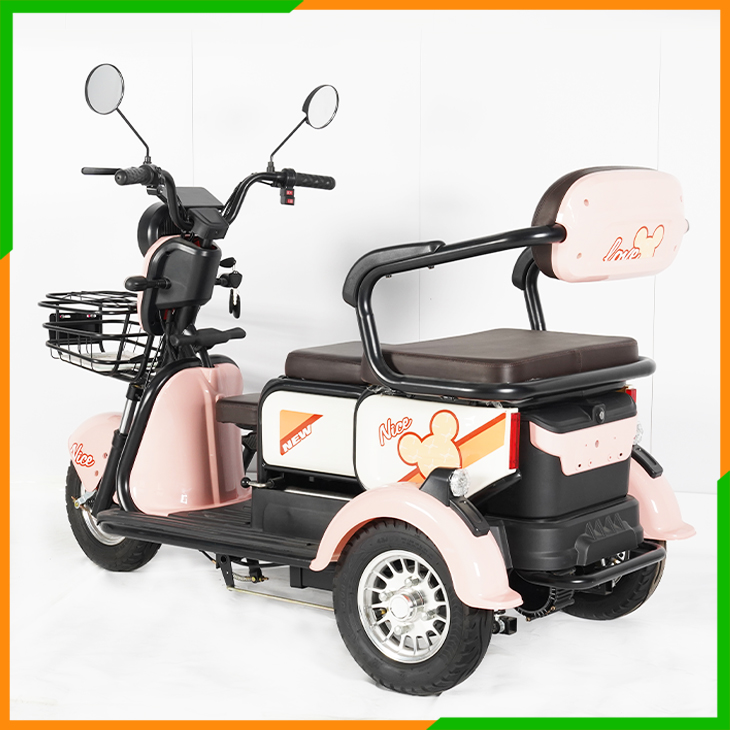 Electric Tricycle-Y3-V9