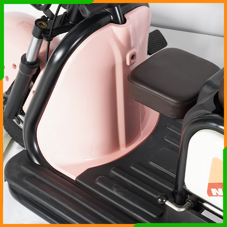 Electric Tricycle-Y3-V9