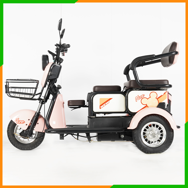 Electric Tricycle-Y3-V9